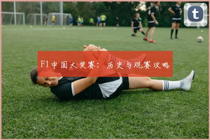F1中国大奖赛：历史与观赛攻略